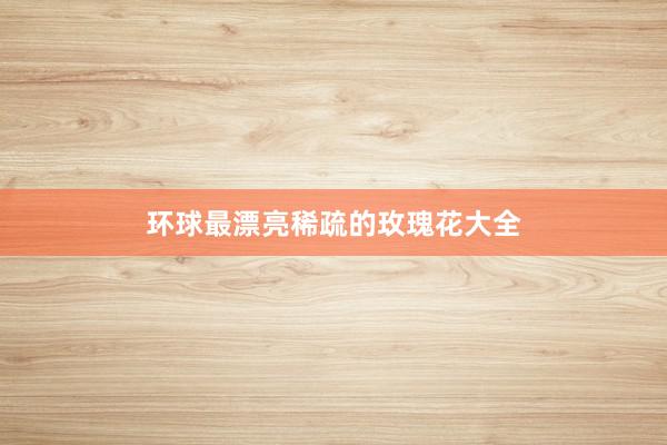 环球最漂亮稀疏的玫瑰花大全