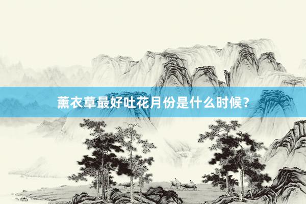 薰衣草最好吐花月份是什么时候？