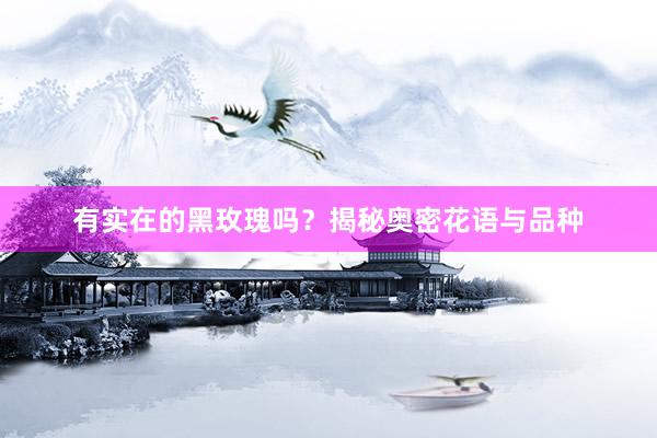 有实在的黑玫瑰吗？揭秘奥密花语与品种
